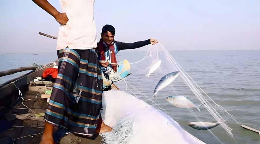 আজ মধ্যরাতে উঠছে ইলিশ ধরার নিষেধাজ্ঞা, প্রস্তুতিতে ব্যস্ত জেলেরা